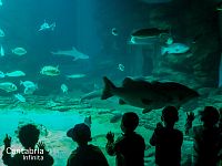 El Museo Marítimo del Cantábrico, zdroj: @cantabrioturismo