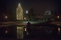 Vánoční strom Klášterec nad Ohří