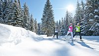 Běh na lyžích bez hranic v Nassfeldu