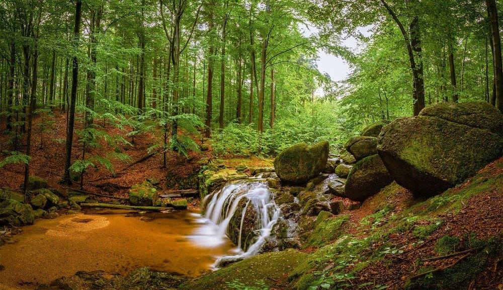 Májové Jizerky: vychutnejte si čas lásky v kraji malebných bučin i křišťálu