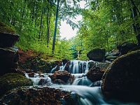 Jizerskohorská bučina