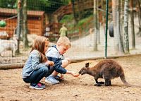 Farmapark u Toma, zdroj Visit Plzeň