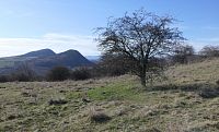 Vzácní motýli i koniklece. Další Místo pro přírodu vznikne na okraji Českého středohoří