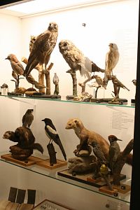 Expozice, foto Muzeum Zlín