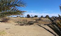 Tozeur, Ras El Aïn Park