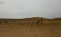 Národní park Jebil – Tunisko