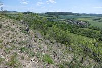Bořeňská Homolka, foto Jan Moravec