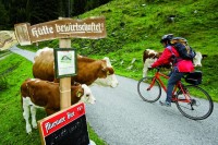Na kole do hor_Foto Steiermark Tourismus