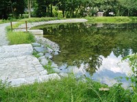 Valšovský  rybník