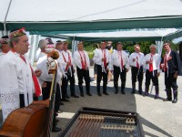 Sedlecký Festival
