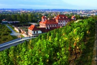Praha Troja: vinice sv. Kláry
