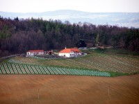 Vinařská NEJ – Nejvýše položená vinice v ČR