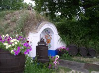 Sklep v Petrově – Plžích; zdroj publikace Krajem vína