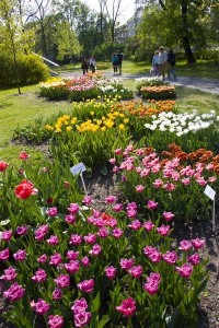 flora; foto: Střední Morava – Sdružení cestovního ruchu