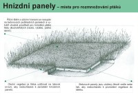 Rekultivace Kozinec; zdroj OKD