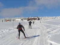 Běžky; zdroj foto: www.krkonose.eu