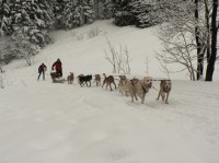 Ledová jízda; zdroj foto: www.krkonose.eu