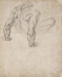 Evropa: Michelangelo Buonarroti (1475-1564), studie, C Trustees of the British Museum