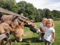 Farma-parky: Fenomén rodinných dovolených