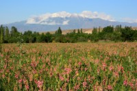 Cesta za východem slunce - Kyrgyzstan