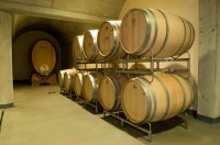 Vinařství Gotberg – nový směr vinařské kultury
