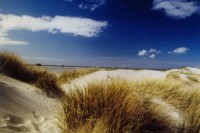 St. Peter Ording, © Günter