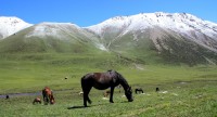 Kyrgyzstan