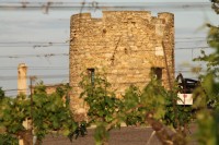 Hrádek Lampelberg – strážce znojemských vinic