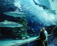 Tropicarium – Oceanarium; zdroj: www.tropicarium.hu