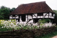 Tudorovská farma