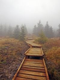 Lesy ČR zrekonstruovaly turistický chodník na nejvyšší horu Jizerských hor