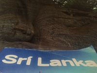 Srí Lanka na 3 týdny