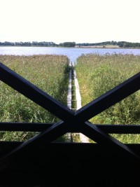 výhled na rybník Řežabinec