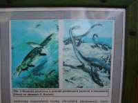 Lom u Lysé - naleziště plesiosaura
