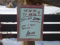 želvy v zimě, zoo praha