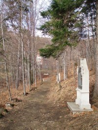 Křížová cesta v lese nad kaplí