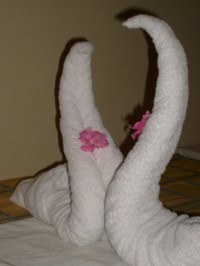 labutě z ručníků