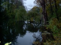 Holásecká jezera - podzimní večer na Roučkově jezeře