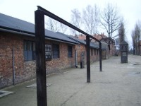KT Auschwitz I