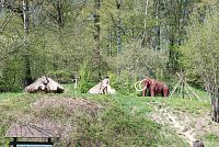 Osada lovců mamutů