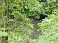 Řeka Moravice pod skálou