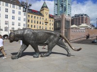 Oslo - bronzový tygr před nádražím
