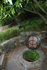 Glastonbury - Chalice Well Garden