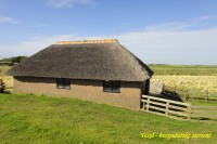 Texel došková stodola