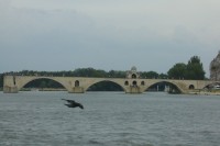 Avignonský most - Pont Saint Bénezet