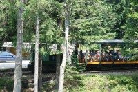 Lesní úvraťová železnice Vychylovka