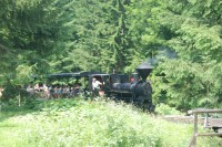 Lesní úvraťová železnice Vychylovka
