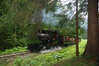 Skanzen Vychylovka - Lesní úvraťová železnice