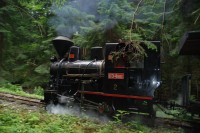 Skanzen Vychylovka - Lesní úvraťová železnice