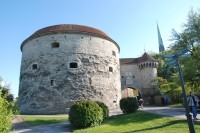 Tallinn - Tlustá Markéta